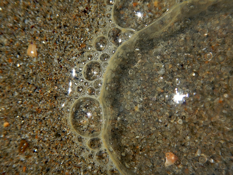 Pourquoi l'eau de mer créée de la mousse sur la plage ?
